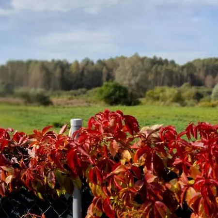 Domek Letniskowy Amalie Mazury Dom wakacyjny Mrągowo